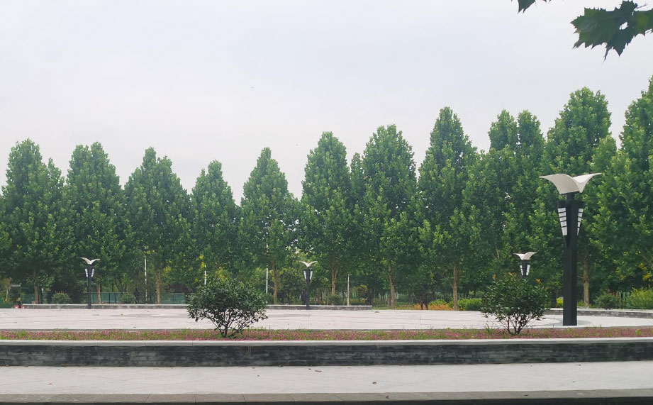 景觀燈，公園景觀燈.jpg
